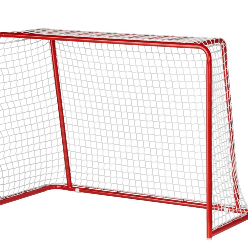 But d'unihockey