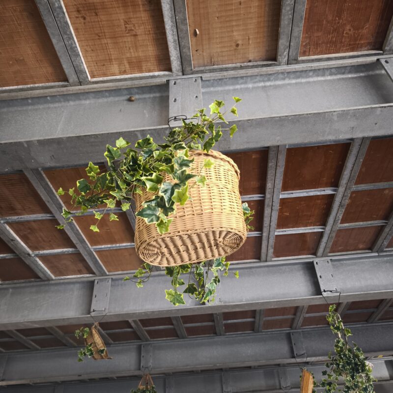 Panier en osier