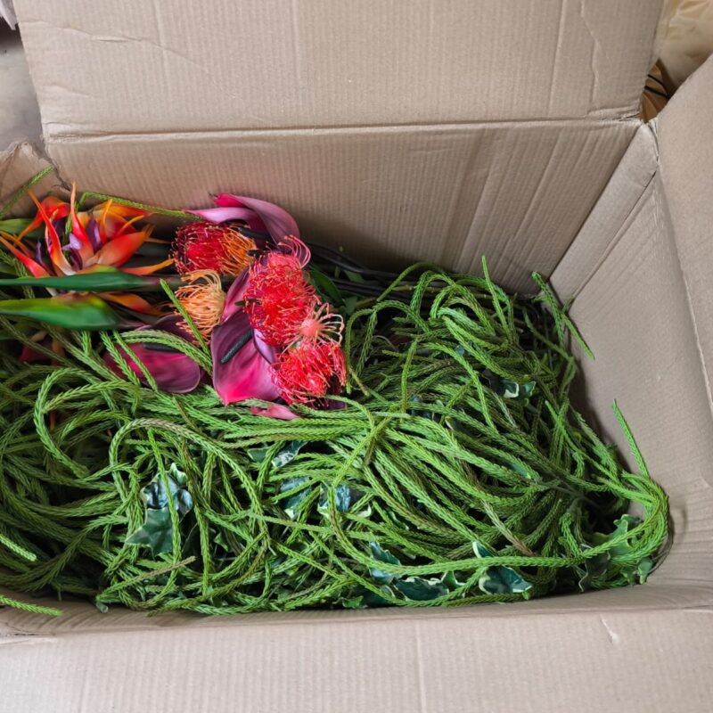 Végétation et fleurs de décoration
